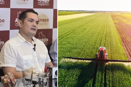 Anapo: “La biotecnología no puede seguir siendo una discusión ideológica”