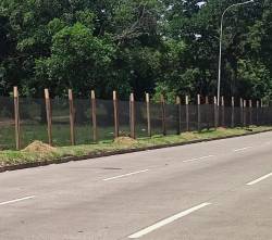 ¿Por qué está enmallado el cordón ecológico? Esto respondió el alcalde