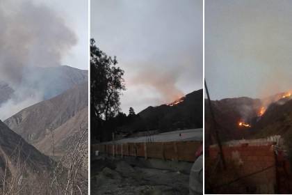 La Paz: Reportan incendio forestal en Sapahaqui y vecinos piden apoyo para frenar su avance
