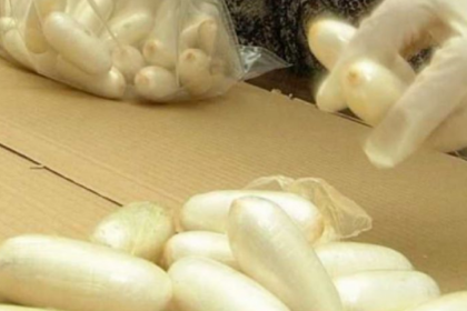 Caen 28 bolivianos en Brasil que transportaban un promedio de 90 cápsulas de droga en el estómago