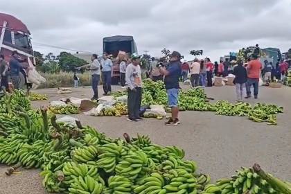 “Ya no damos confianza”: Argentina sustituye banana boliviana por fruta de Ecuador y Paraguay, lamenta productor