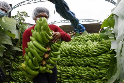 Bolivia registra una balanza comercial negativa de $us 329 millones al tercer trimestre del año