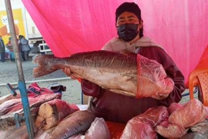 Venta de pescado y mariscos se activa por Semana Santa en La Paz 