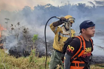 Gobernación reporta 19 incendios forestales; el fuego golpea al parque Noel Kempff
