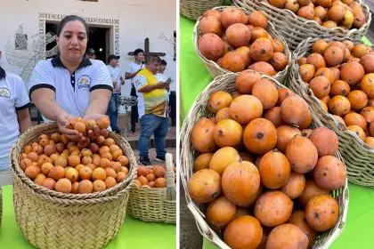 ¡Atención amantes del achachairú! Este domingo es la feria anual de la fruta en Porongo