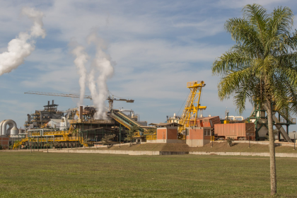 Pese a las dificultades en la zafra, ingenios azucareros empiezan a reflejar récords de producción