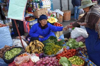 Cepal proyecta que Bolivia cerrará el año con un crecimiento del 1,7%, menos de la mitad de lo estimado por el Gobierno