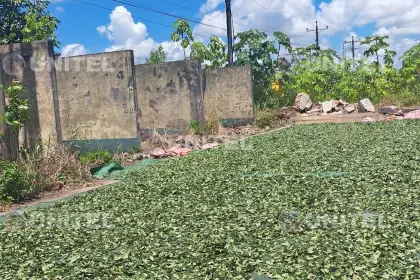 Video: las exinstalaciones del cuartel de Umopar en Bulo Bulo son usadas para secar coca