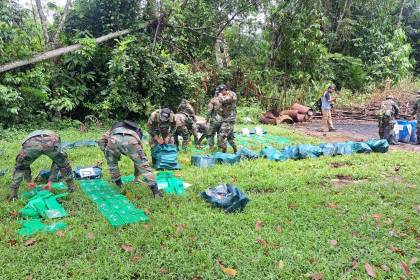 Fuerza antidroga alista la destrucción de casi una tonelada de droga secuestrada los últimos operativos