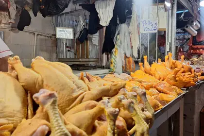 El precio del kilo de pollo se vende entre Bs 23 y Bs 25 en mercados cruceños y paceños