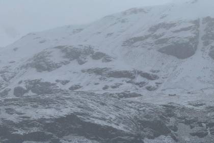 Potosí: San Pablo de Lípez sufre su segunda gran nevada y alcalde pide ayuda para salvar 40.000 camélidos