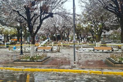Una mujer muere tras caerle un árbol por el peso de la nieve 