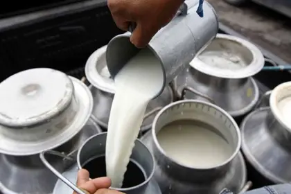 Sector lechero está en emergencia, asegura que los costos de producción superan el precio que reciben por litro de leche