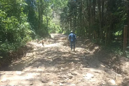 Reportan baja de un 40% en el abastecimiento de alimentos desde los valles cruceños a los mercados