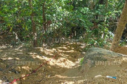 Encuentran la cabeza de la mujer apuñalada y carbonizada en El Torno