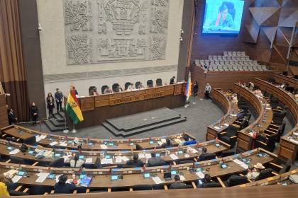 Diputados sesionan por un contrato del litio, se desata la tensión en el hemiciclo y surgen pedidos para aplazar el debate