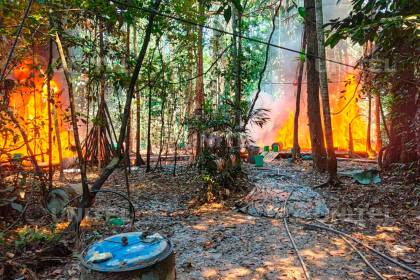 Fuerza antidrogas destruye dos fábricas en el trópico de Cochabamba que producían más de 200 kilos de droga al día 