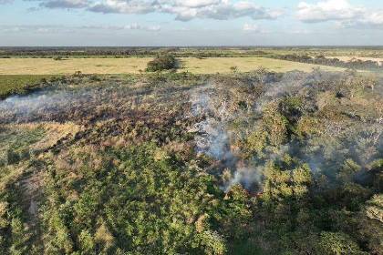 Incendios forestales golpean a Tarija y Santa Cruz en plena alerta roja por fuertes vientos