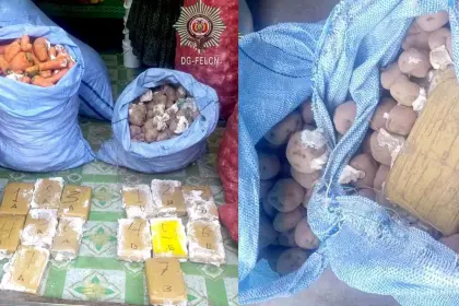 Hallan paquetes de marihuana ocultas entre zanahorias y papas