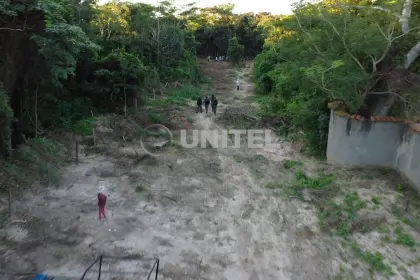 Denuncian desmonte de 10 hectáreas dentro del Cordón Ecológico