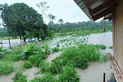 Senamhi emite alerta roja por posibles desbordes de ríos en Cochabamba 
