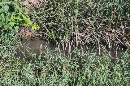 Vecinos de la capital cruceña piden a la Alcaldía la limpieza de canales de drenajes y áreas verdes 