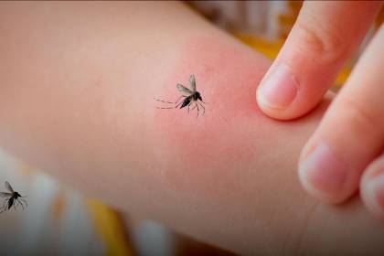 Santa Cruz y Cochabamba son los departamentos más afectados por la chikungunya, confirmó la ministra de salud