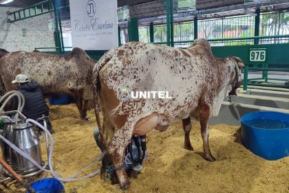 Arranca el concurso lechero con miras a la Expocruz 2026