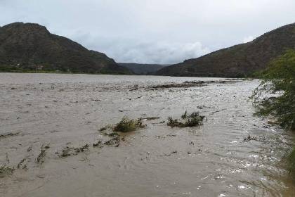 40 cabezas de ganado mueren arrastradas por una riada en Potosí