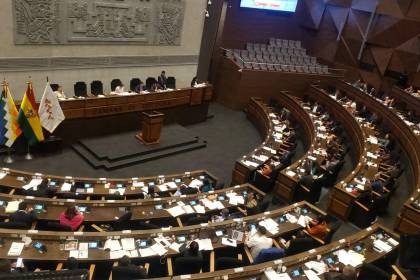 Cámara de Diputados aprueba en grande y en detalle el crédito de $us 100 millones de Japón