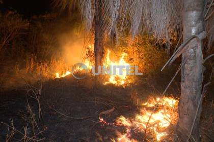 Incendio afecta al área de una urbanización y un predio de la Policía Montada