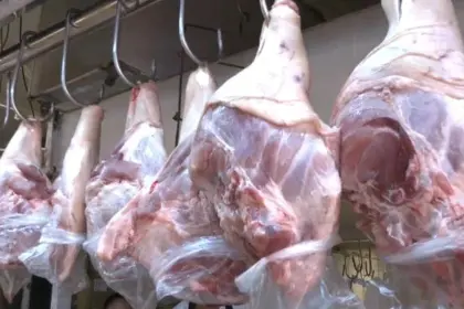 Adepor dice que la falta de diésel les afecta para trasladar el cerdo a mercados y también para la adquisición de insumos