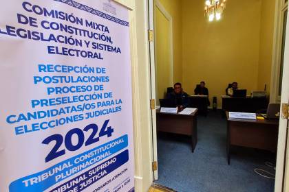 Elecciones Judiciales: viceministra Alcón dice que el Gobierno no está detrás de los amparos constitucionales