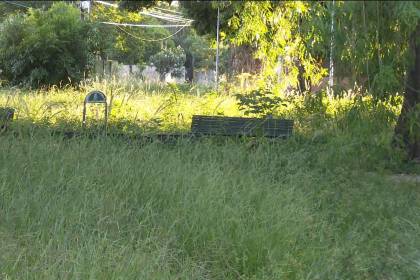 Vecinos denuncian que existe maleza en distintos barrios de la capital cruceña