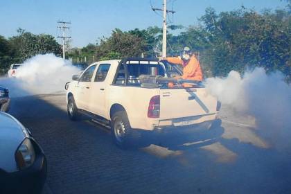 Sedes cruceño alerta que en esta época hay presencia de dos tipos de mosquitos que contagian cuatro enfermedades