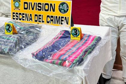 Ministro confirma que la mamá de Demian fue víctimada y que el cuerpo fue lanzado a un contenedor de basura