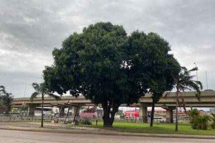 Fuertes vientos y temperaturas bajas marcan la jornada de este domingo en Santa Cruz