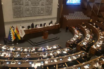 Crédito de $us 550 millones es para pagar la deudas que dejo Arce y algunos proyectos en salud, señala diputado