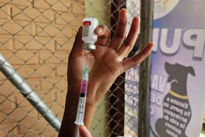 Sedes Santa Cruz anuncia la campaña de vacunación antirrábica este 29 y 30 de noviembre