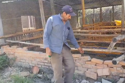 “Rompieron la malla”: 21 cabras lecheras fueron devoradas por una jauría en Sucre 
