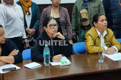 ¿Qué respondió la diputada Romero al ser cuestionada por su voto a favor de la abrogación de la ley de conversión de tierras?
