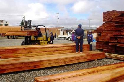 ¿Cómo afectarán a Bolivia los aranceles de EEUU impuestos a la madera?