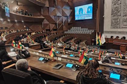 Interpelación al ministro de Hidrocarburos: Inicia la votación de la Asamblea Legislativa