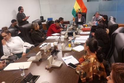 Diputados: Comisión de Planificación aprueba crédito de $us 1.900 millones del FMI y remite el informe al pleno
