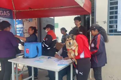Segunda jornada de vacunación antirrábica se cumple en el Eje Metropolitano de Cochabamba