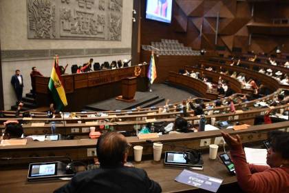 Por “ausencia del ministro”, Diputados aplazan tratamiento de tres créditos y la ley que abroga una norma que avala desmontes