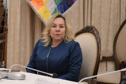 Magistrada de Tarija menciona a exministro Siles y denuncia complot para derrocarla y habilitar a su suplente