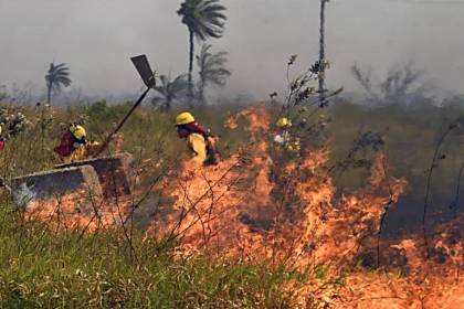 Incendios: sentencian a plantar 100 árboles a un hombre hallado ‘in fraganti’ iniciando fuego en Guarayos; no ingresará a la cárcel