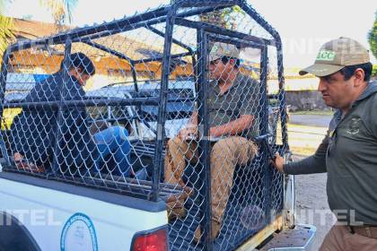 Video: Así admitió uno de los implicados su paticipación en el asesinato de una familia en el trópico de Cochabamba