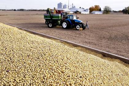 “La crisis no es un anuncio, es una realidad”: Producción agrícola bajó un 17% en 2024, según la CAO 